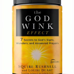 Godwink Book 5 Kindle eBook Howard Books XRay-0